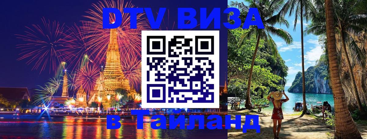 Сколько стоит DTV виза — актуальные цены, оформление даже без документов - 08.01.2026 